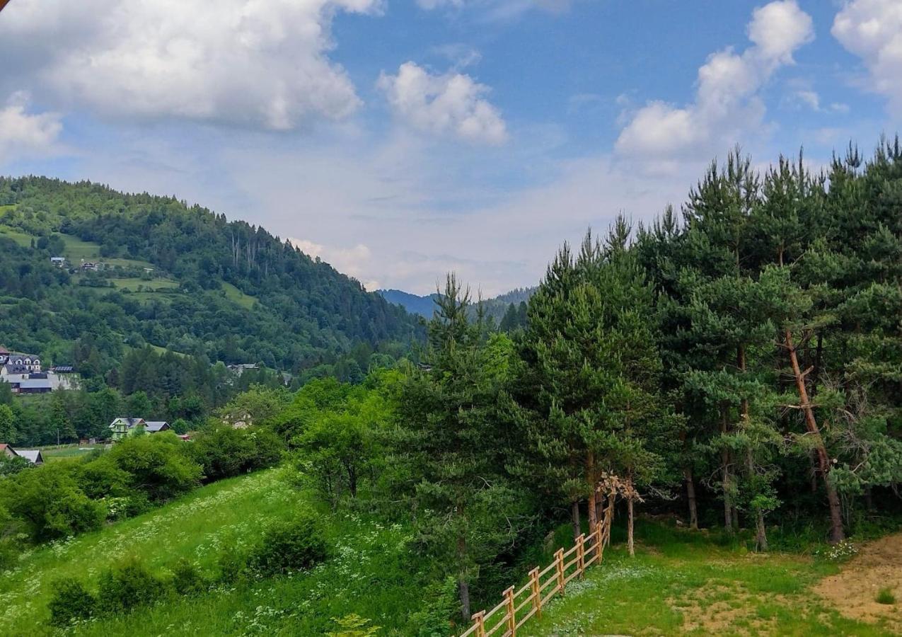 Willa 桃 Momo Szczawnica Ngoại thất bức ảnh